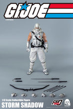Load image into Gallery viewer, Storm Shadow With its Accessories