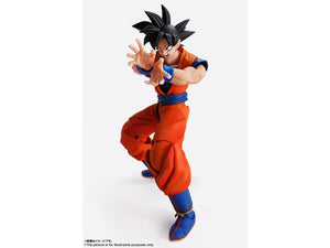 Dragon Ball Z Imagination Works Goku SH Figuarts Action Figure 1/9 Scale