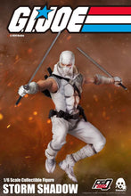 Load image into Gallery viewer, Storm Shadow with two katana
